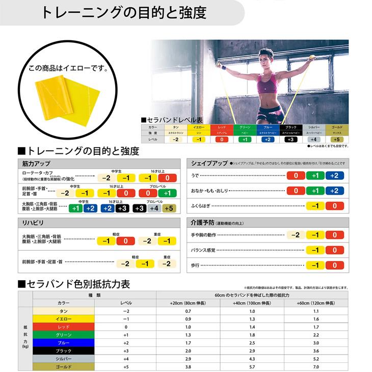 D&M セラバンド トレーニングバンド 初心者向け 強度レベル-1 黄 イエロー 全長1m ディー＆エム THERABAND ビギナー トレーニングゴム /TBE1 | THERABAND | 02