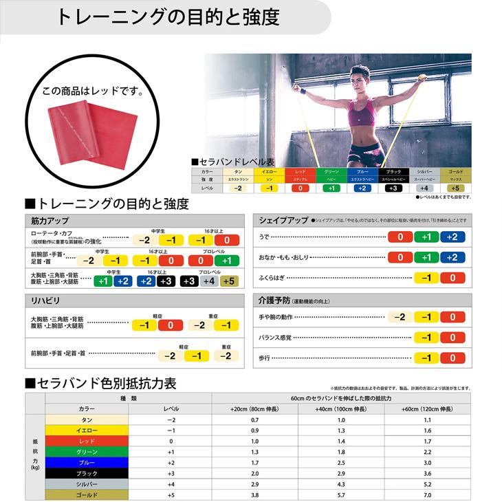 D&M セラバンド トレーニングバンド 初心者向け 強度レベル0 赤 レッド 全長1m ディー＆エム THERABAND マニュアル冊子付 ビギナー トレーニングゴム /TBE2 | THERABAND | 02