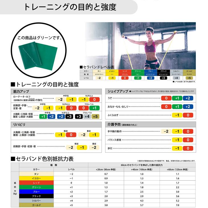 D&M セラバンド トレーニングバンド 初心者向け 強度レベル+1 緑 グリーン 全長1m ディー＆エム THERABAND ビギナー トレーニングゴム /TBE3 | THERABAND | 02