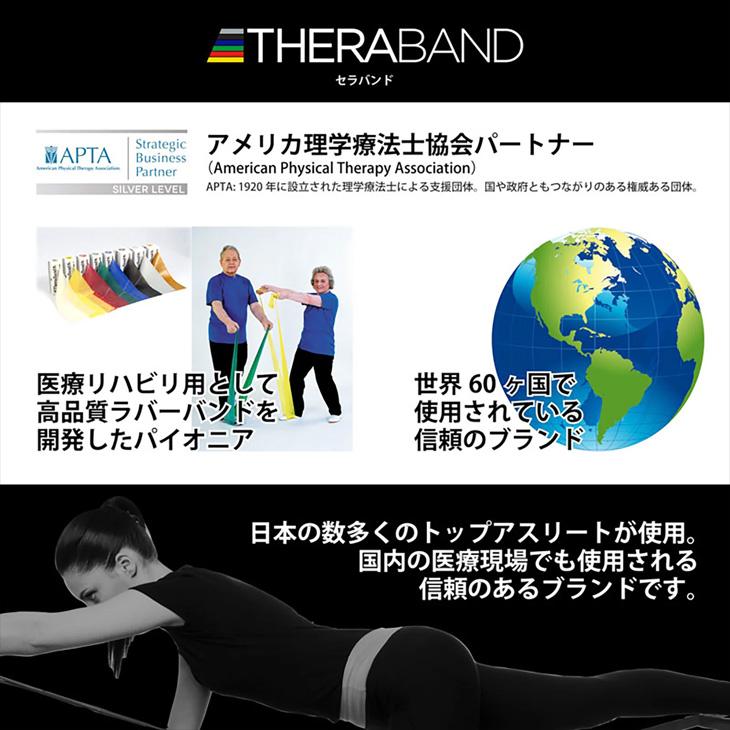 D&M セラバンド トレーニングバンド 初心者向け 強度レベル+2 青 ブルー 全長1m ディー＆エム THERABAND マニュアル冊子付 ビギナー トレーニングゴム /TBE4 | THERABAND | 10