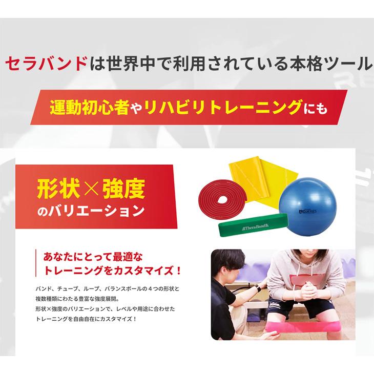 D&M セラバンド トレーニングバンド 初心者向け 強度レベル+2 青 ブルー 全長1m ディー＆エム THERABAND マニュアル冊子付 ビギナー トレーニングゴム /TBE4 | THERABAND | 13