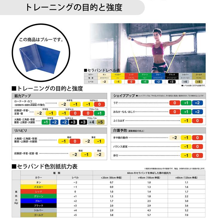 D&M セラバンド トレーニングバンド 初心者向け 強度レベル+2 青 ブルー 全長1m ディー＆エム THERABAND マニュアル冊子付 ビギナー トレーニングゴム /TBE4 | THERABAND | 02