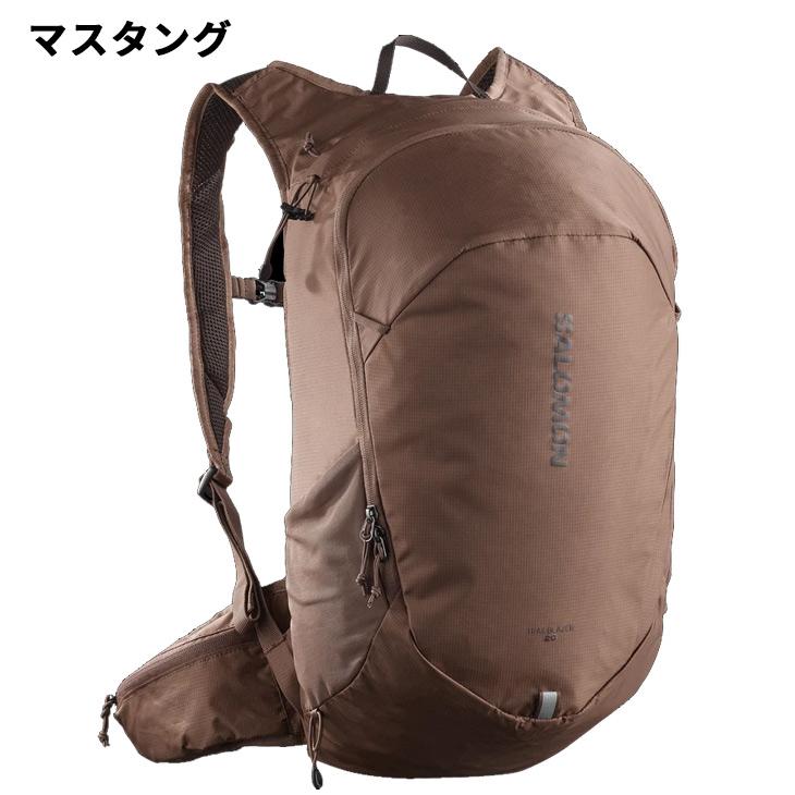 SALOMON（サロモン） ハイキングバッグ 20L リュック メンズ