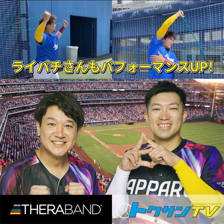 D&M セラバンド トレーニングチューブ ディー＆エム THERABAND セラチューブ 強度レベル-1 黄 イエロー 全長3m マニュアル冊子付 ビギナー /TTB11 | THERABAND | 05
