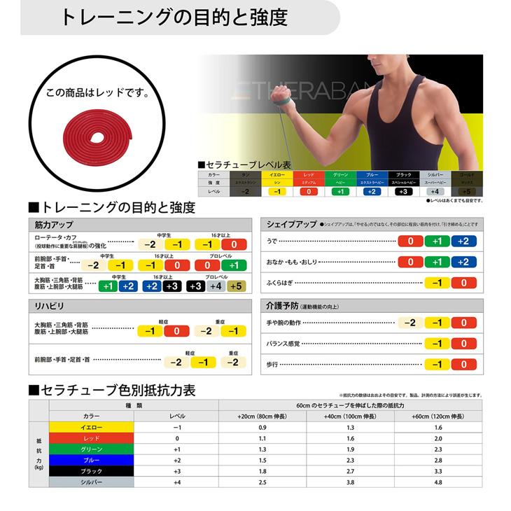 THERABAND（セラバンド） D&M トレーニングチューブ ディー＆エム セラ