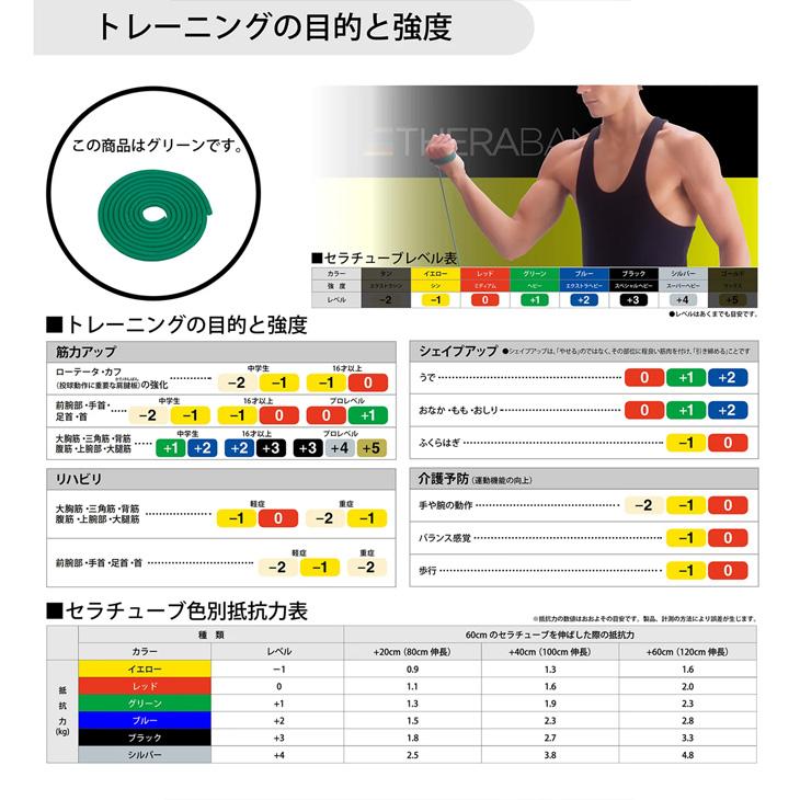 D&M セラバンド トレーニングチューブ ディー＆エム THERABAND セラチューブ 強度レベル+1 緑 グリーン 全長3m ビギナー /TTB13 | THERABAND | 01