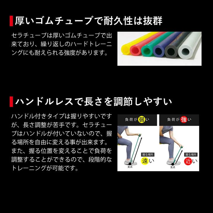 D&M セラバンド トレーニングチューブ 初心者向け ディー＆エム THERABAND セラチューブ 強度レベル+2 黄 イエロー 全長1m /TTE11 | THERABAND | 06