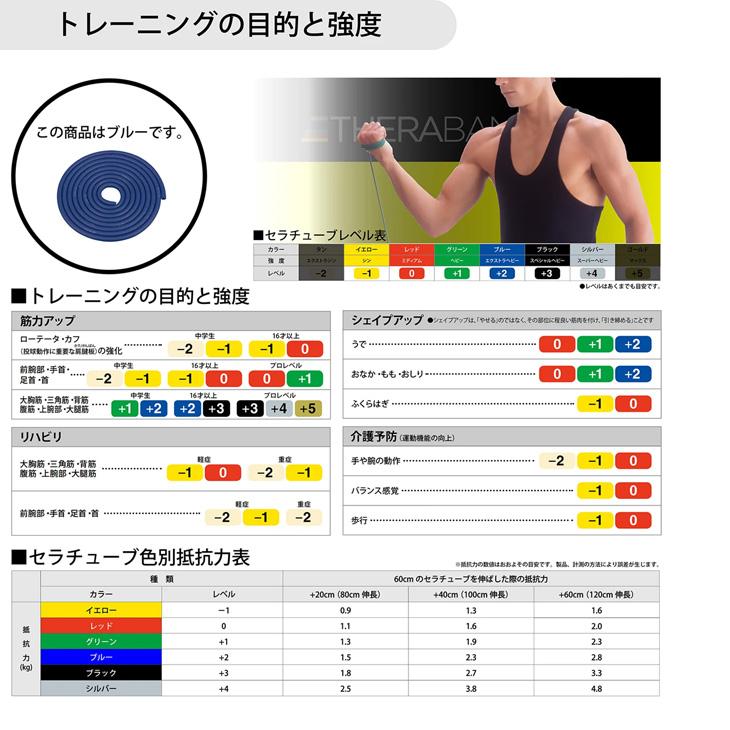 D&M セラバンド トレーニングチューブ 初心者向け ディー＆エム THERABAND セラチューブ 強度レベル+2 フォーエントリー 青 ブルー 全長1m /TTE14 | THERABAND | 02