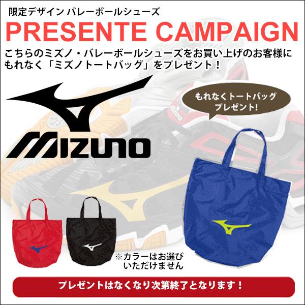 MIZUNO バレーボールシューズ メンズ レディース 当店オリジナル