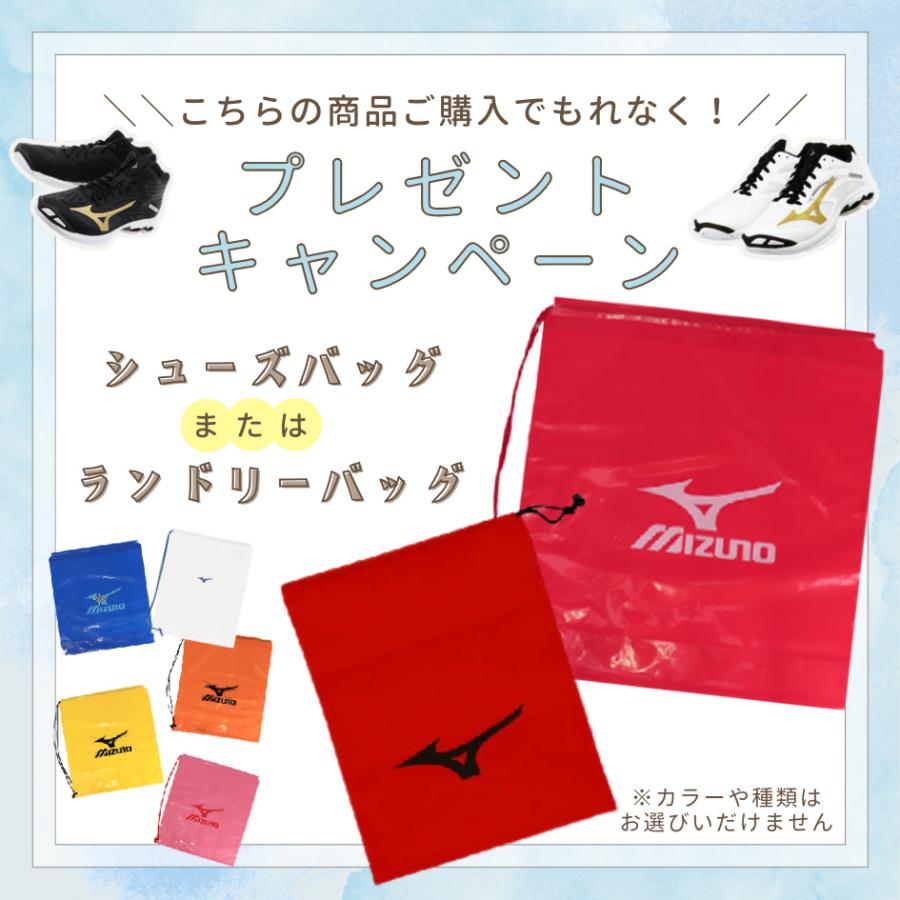 MIZUNO（ミズノ） バレーボールシューズ ローカット 2E相当 当店