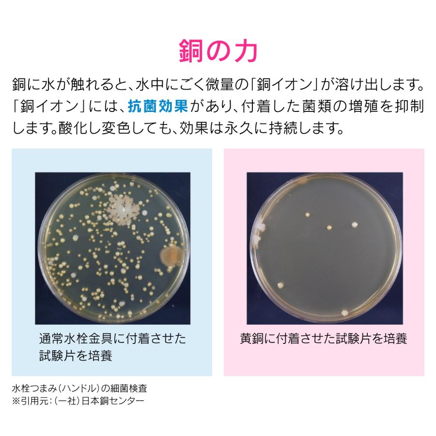 カクダイ/GAONA(ガオナ) GA-PB028 流し用浅型ゴミカゴプレートセット(銅製)の画像