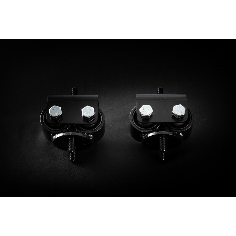 た*に様 er34 エンジンマウント NISSAN RB25用 ECR33 ER34 C34 C35 SPLエンジンマウント : AQMCompany