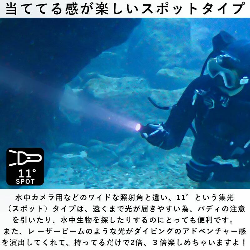 大光量！！FIX LED 1000DX(水中ライト ダイビング用) ダイビングの