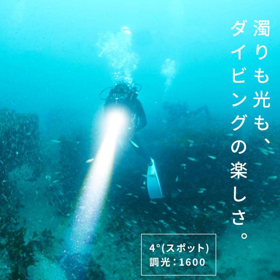 D40 ZOOM 1600 adjustable Beam 本体 水中ライト LED ダイビングライト