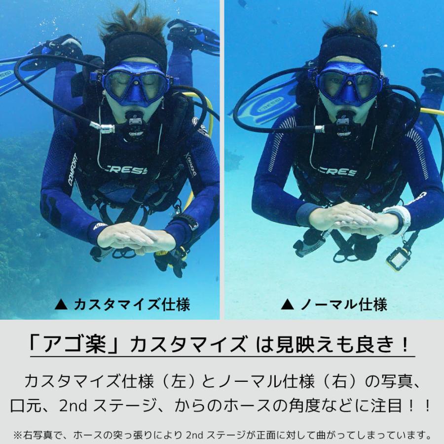 レギュレーター フレックス ホース 75cm The Standard ザ レギュレーター フレックス ホース 75cm The Standard ザ