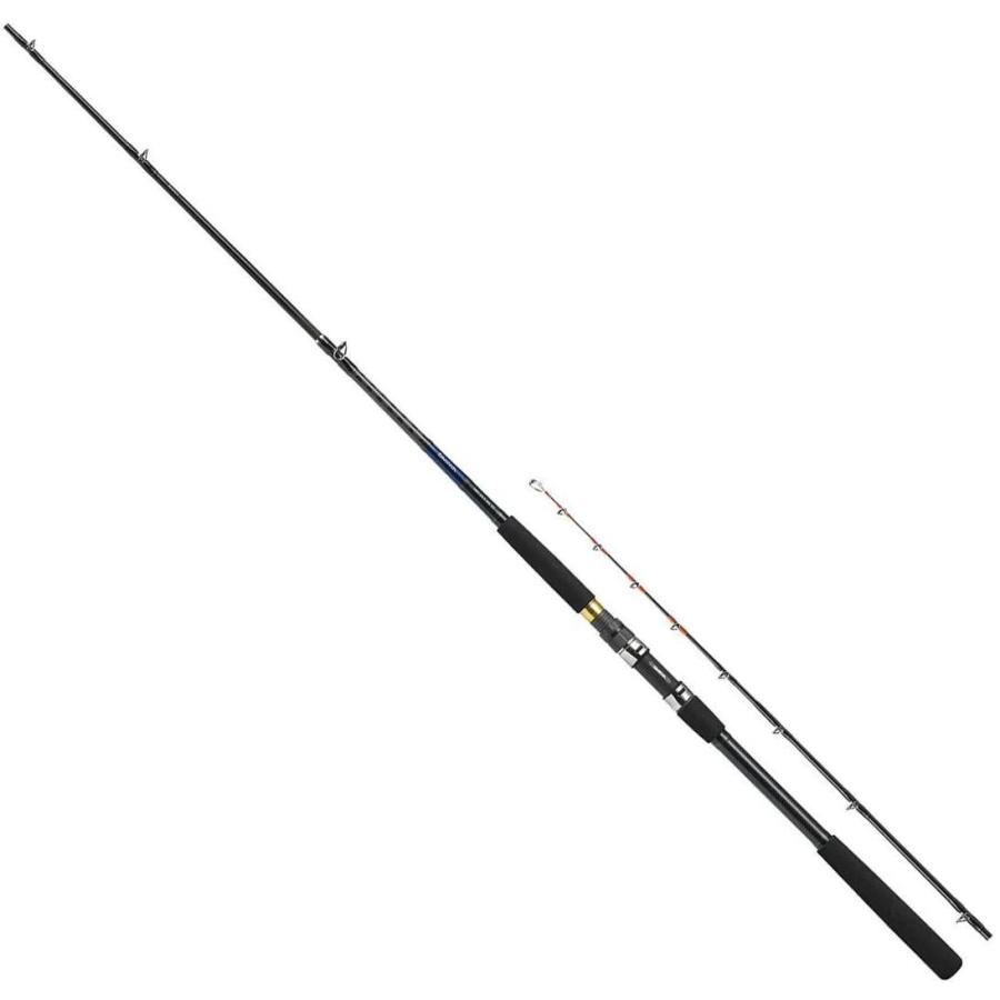 人気満点 ダイワ Daiwa 船竿 ヤリイカ X Mh 175 釣り竿 Aqua Collection 通販 Yahoo ショッピング 最新情報 Dp3akb Jatengprov Go Id