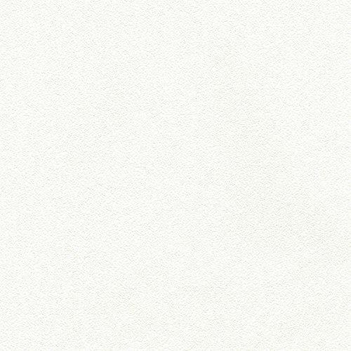 ブランドおしゃれ シンコール 壁紙11m プロジェクター用 ホワイト Ba 3522 正規激安 Angstron Com Br