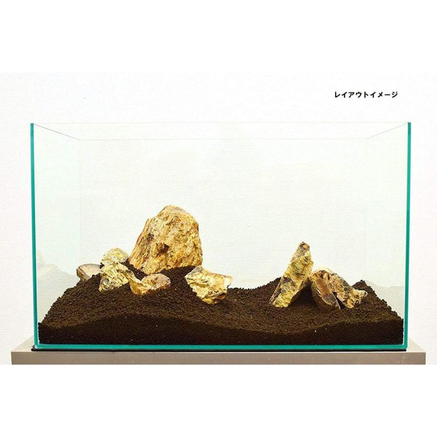 カミハタ 木化石 レイアウトセット (実際の形状や色味と異なります)｜aqua-collection｜03