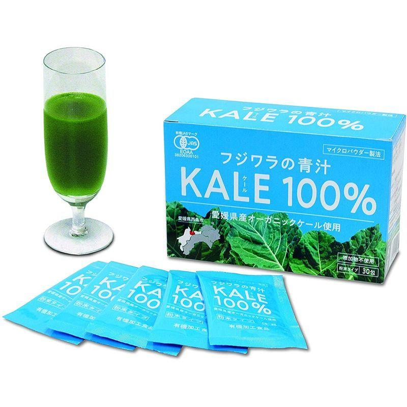 フジワラの青汁 粉末タイプ 3g×30包 【クーポン対象外】