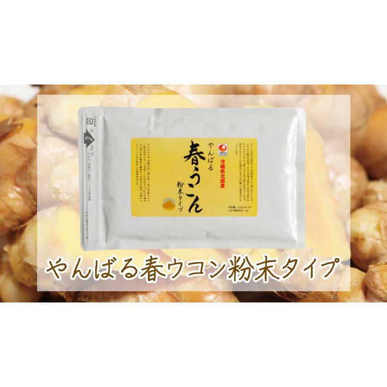 送料無料 春うこん粉末 100ｇ 沖縄やんばる産 沖縄ウコン堂 セール 健康 ポイント消化