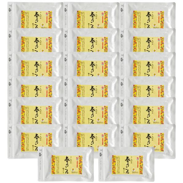 送料無料 春うこん粒 500粒20個 業務価格 沖縄やんばる産 セール 沖縄ウコン堂