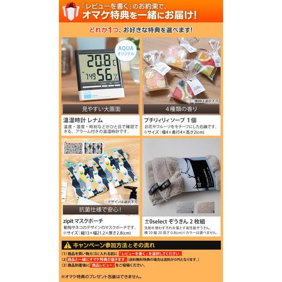 シーリングライト 選べる豪華特典 サーキュレーター シーリングファン 6畳 DOSHISHA ドウシシャ サーキュライト EZシリーズ 6畳スイング DCC-SW06EC|セレクトショップAQUA・アクア|01