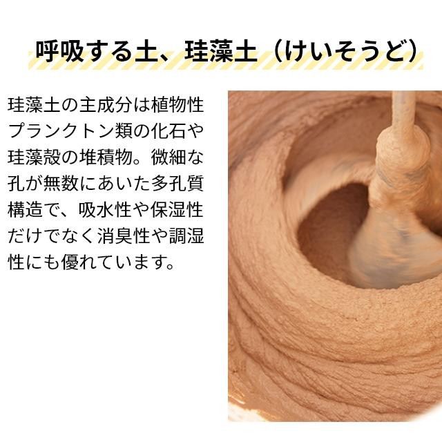 soil ソイル 珪藻土バスマット バスマットライト JIS-B246 バスマット