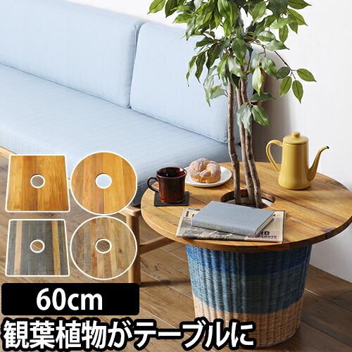 プランツテーブル 60cm Plants Table 大 観葉植物 ウッド ミニテーブル｜aqua-inc