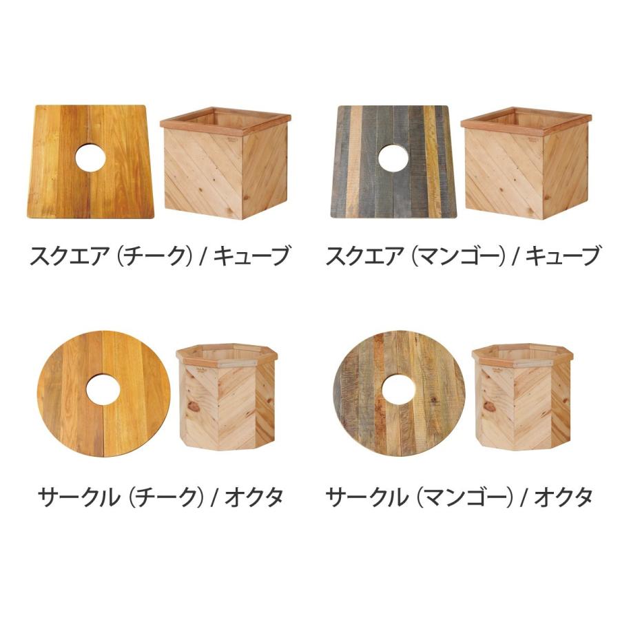 プランツテーブル＆ボックス Lセット Plants Table & Box 観葉