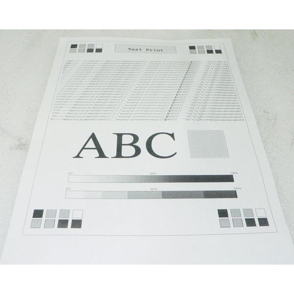 MultiWriter NEC 5140 (PR-L5140) A4 モノクロレーザープリンター 使用