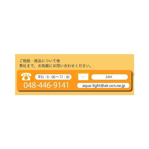 IBM 44T1491(43X5045) PC3-10600R 2GB｜aqua-light｜03