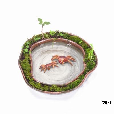 植栽スペース付き 水盤 小 水盤 陶器水盤 水小物 水グッツ 水