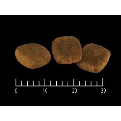 プロプラン 全犬種 子犬用 皮膚と胃腸の健康ケア サーモン＆あじ 2.5kg