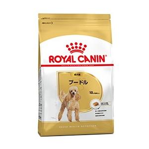 ロイヤルカナン 交換無料 プードル 最安値挑戦 成犬用 1.5kg