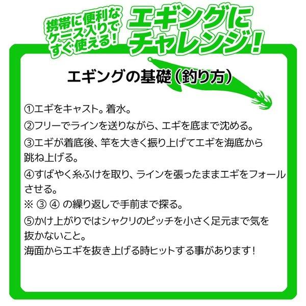 エギ エギングファイブ 3.5号 5本セット 釣り ケイムラ エギング入門書