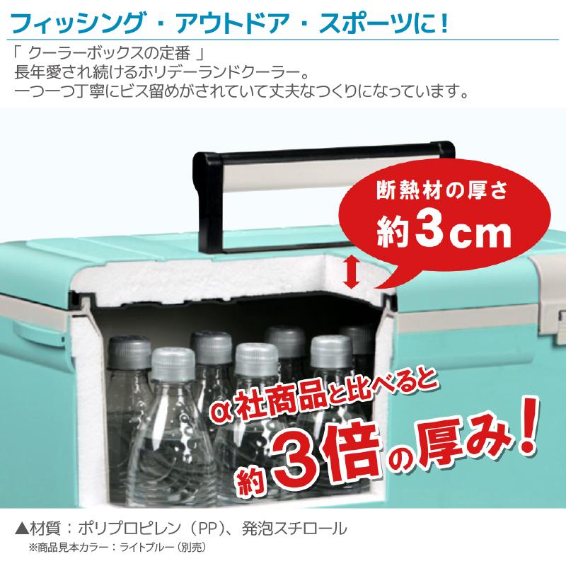 伸和　クーラーボックス　45ℓ 伸和（SHINWA） ホリデーランド クーラーボックス 45L ホワイト 大型