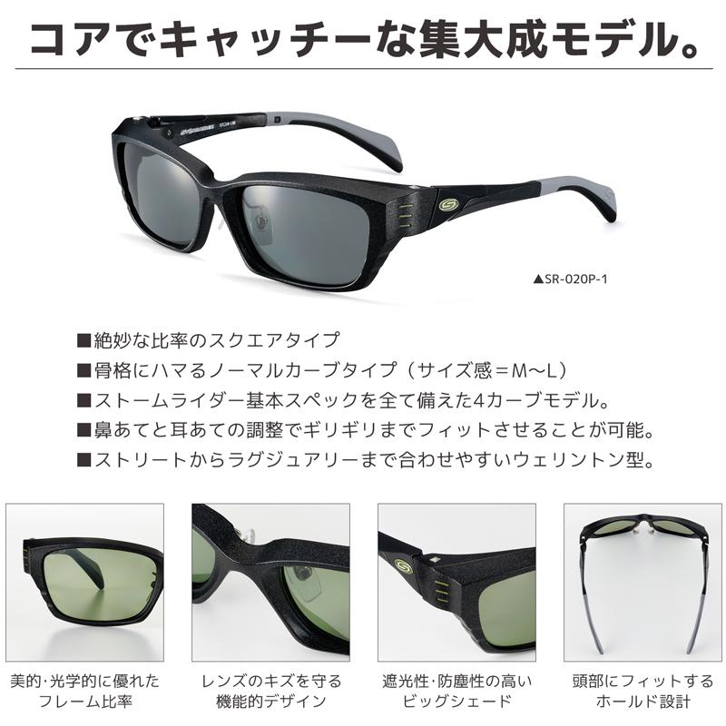 偏光サングラス 愛眼 STORM RIDER GRIND SR-020P グラインド