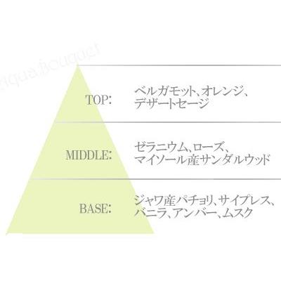 ETRO（エトロ） パチュリ オードトワレ 100ml 香水 レディース ETRO