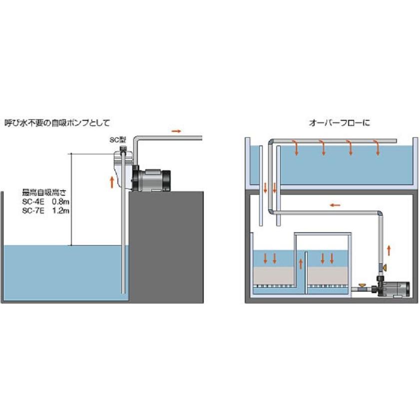 【送料無料】レイシー マグネットポンプ RMD-301　循環ポンプ 水量500L対応 淡水海水両用　管理100｜aquacraft｜03