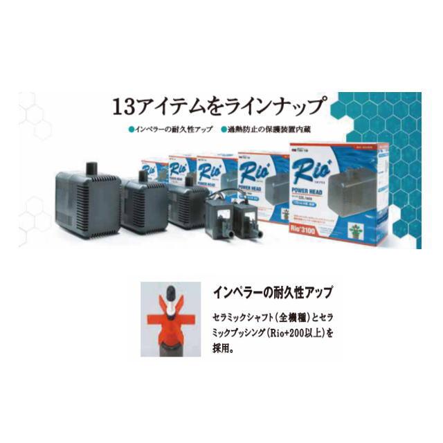 カミハタ Rio+50 60Hz リオプラス 水中ポンプ : アクアクラフト - 通販