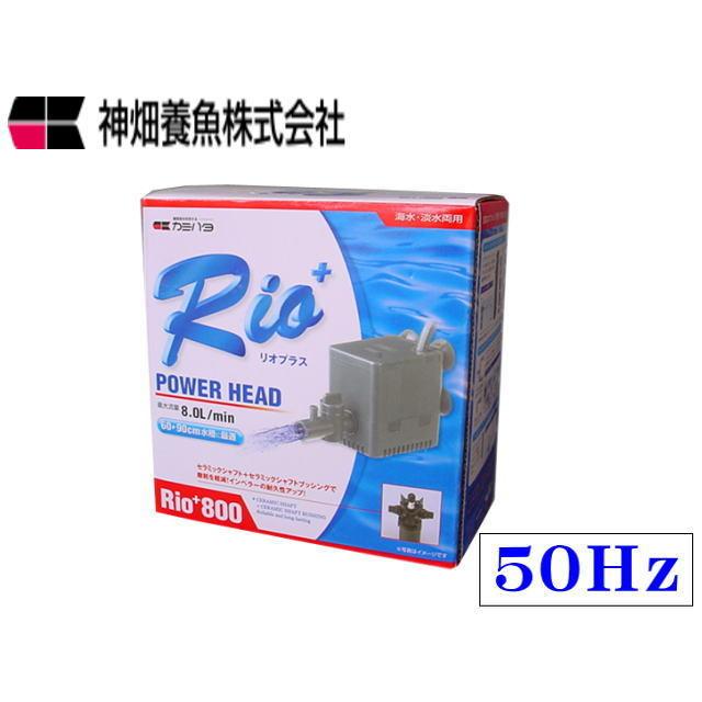 カミハタ Rio+800 50Hz リオプラス 水中ポンプ : アクアクラフト