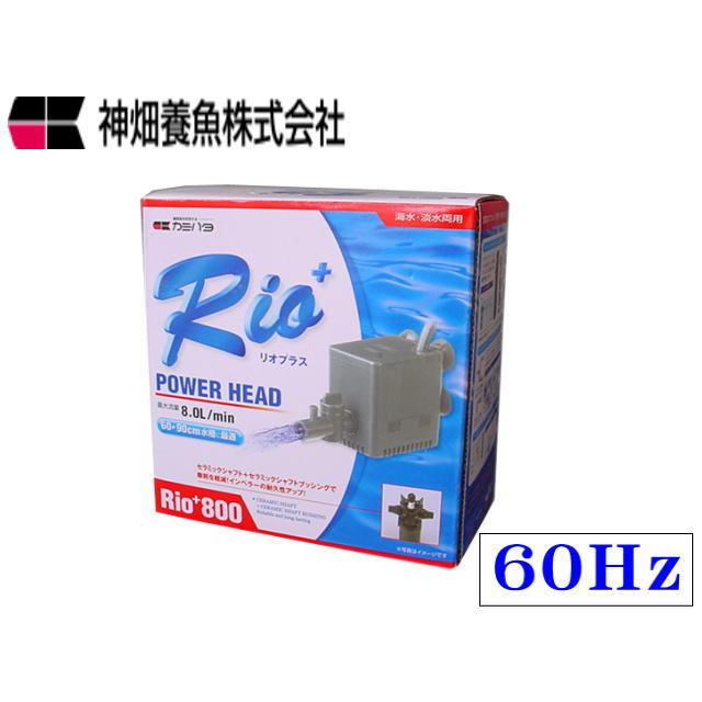 カミハタ Rio+800 60Hz リオプラス 水中ポンプ 送料無料 管理60