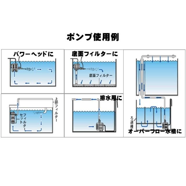 カミハタ 水中ポンプ Rio+3100 60Hz リオプラス 管理60 : アクア カミハタ 水中ポンプ Rio+3100 60Hz リオプラス 管理60 : アクア