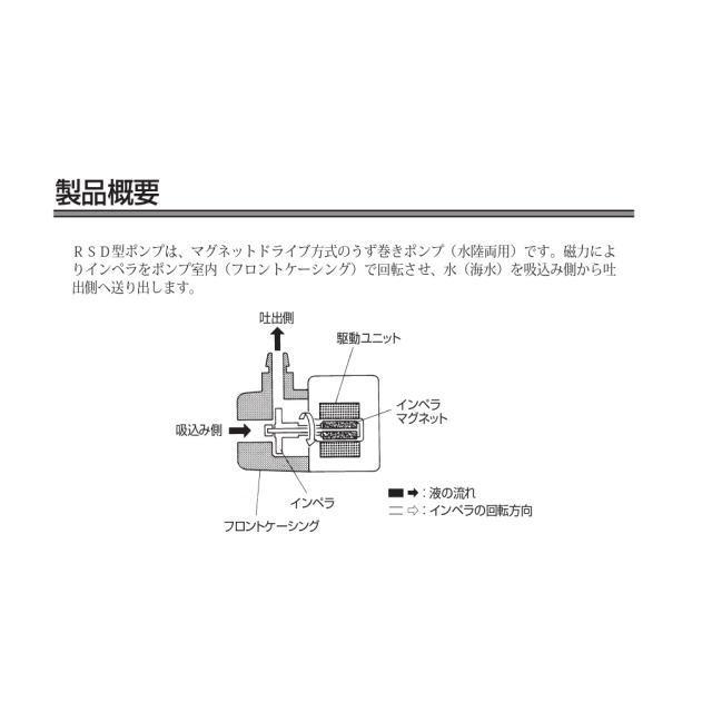 レイシー RSD-40A 50Hz 水陸両用ポンプ 流量毎分40L 送料無料 管理80