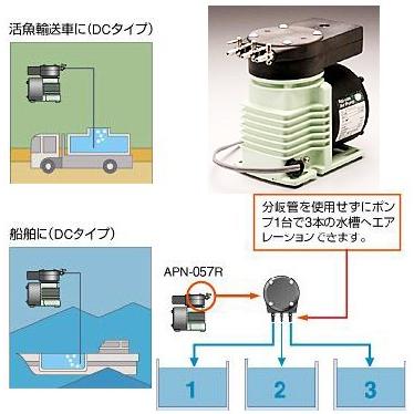 【送料無料】レイシー エアーポンプ APN-057R-D1-DC12V　エアポンプ DC電源 最大風量7Lmin　管理80｜aquacraft｜04