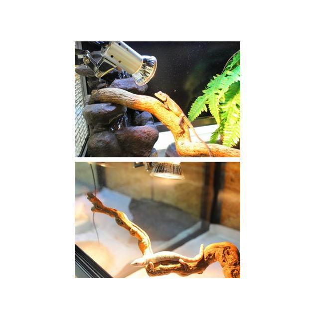 ゼンスイ　マイクロUV LEDマイクロサン28Wセット　中古 Amazon | ゼンスイ マイクロサン 28W | ゼンスイ | ライト・照明