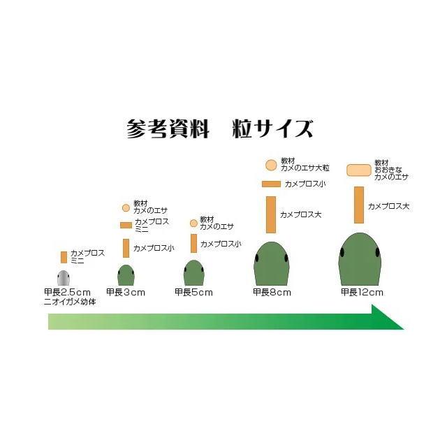 キョーリン カメプロス 550g 20袋セット 大スティック 水棲カメ キョーリン カメプロス 550g 20袋セット 大スティック 水棲カメ