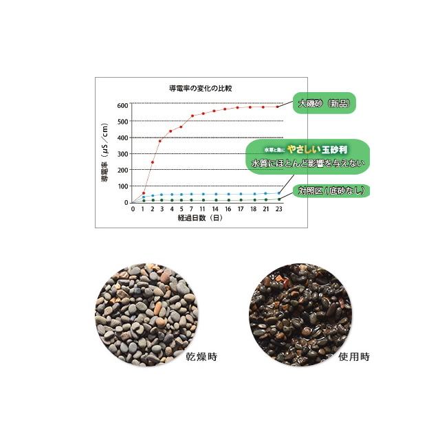 カミハタ 玉砂利 水草と魚にやさしい玉砂利 6kg 粒1〜5mm 送料 カミハタ 玉砂利 水草と魚にやさしい玉砂利 6kg 粒1〜5mm 送料