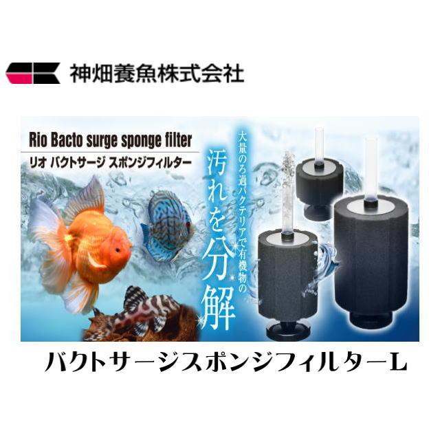 カミハタ リオ バクトサージ スポンジフィルター L : アクアクラフト
