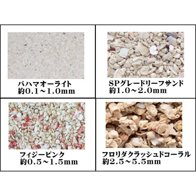 カミハタ アラガライブ SPグレードリーフサンド 9kg 2袋セット